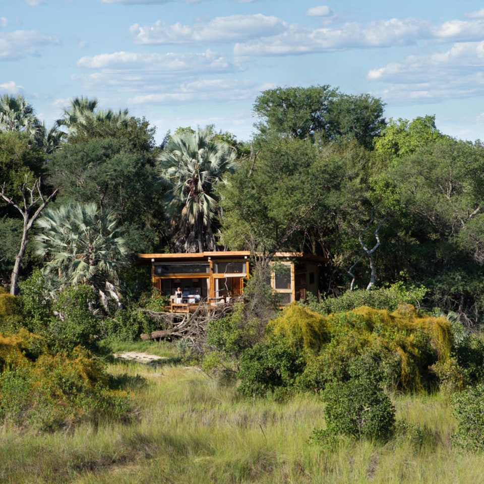 Camp Okavango